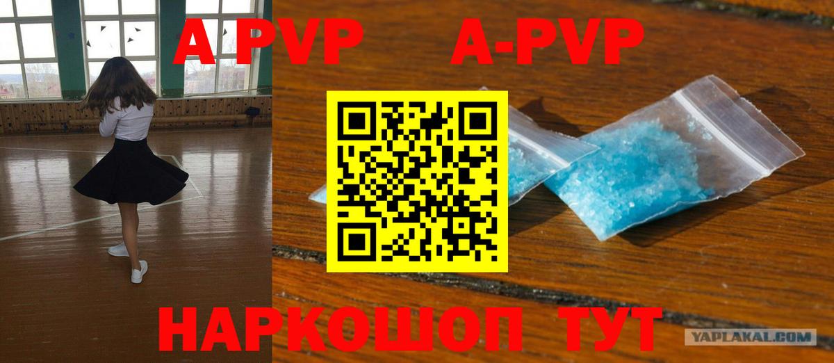 A-PVP СК КРИС Белово