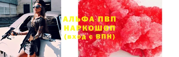 прущие грибы Армянск