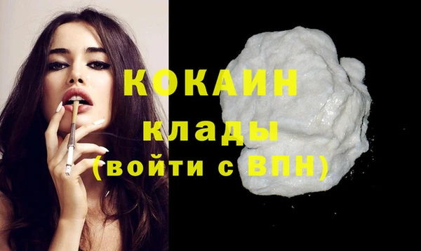 прущие грибы Армянск