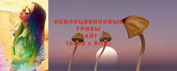 прущие грибы Армянск