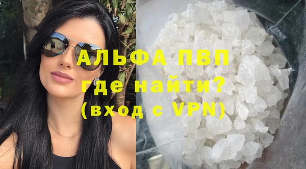 прущие грибы Армянск