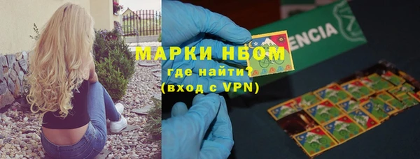 прущие грибы Армянск