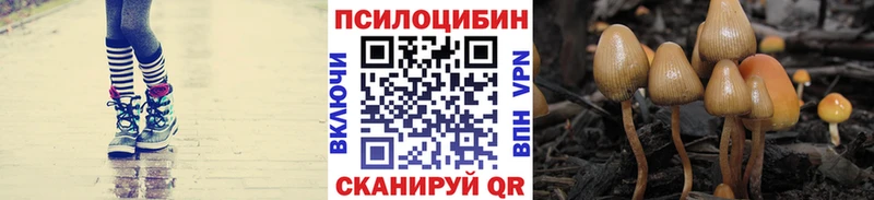 цена наркотик  Белово  Галлюциногенные грибы прущие грибы 