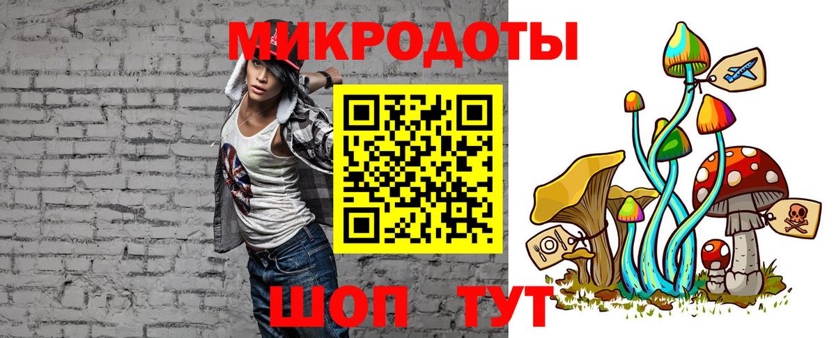 Псилоцибиновые грибы Psilocybe Белово