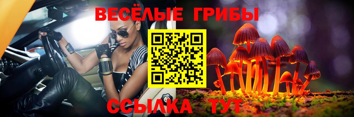 Галлюциногенные грибы Psilocybe  Псилоцибиновые грибы прущие грибы  Белово  хочу   Вход с VPN 