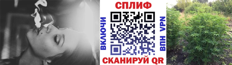 Бошки марихуана ГИДРОПОН  купить   Белово 